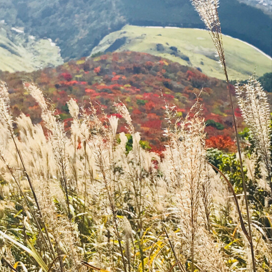 店内講習会のご案内。秋の登山デビュー♪