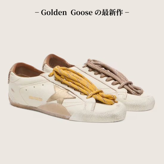 【11/14~販売スタート】世界的注目作　TRUE-STAR