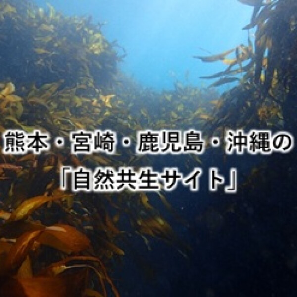 🐟💧九州・沖縄の「自然共生サイト」②　～熊本・宮崎・鹿児島・沖縄～🌳🦌