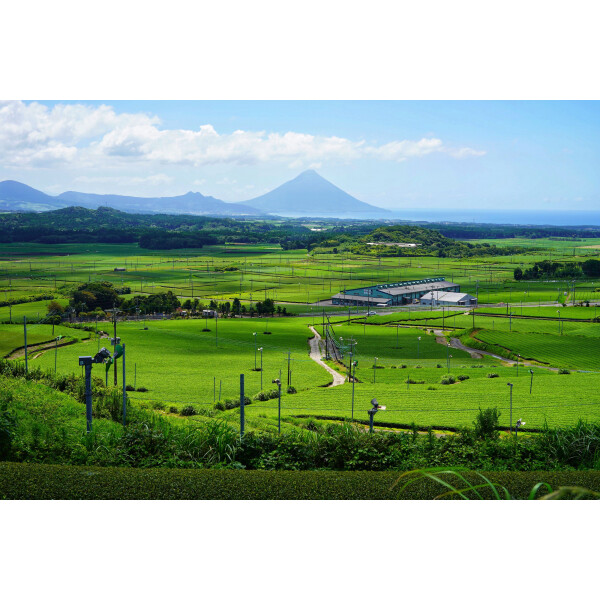 【鹿児島県魅力発信マルシェinパサージュ広場】南九州市