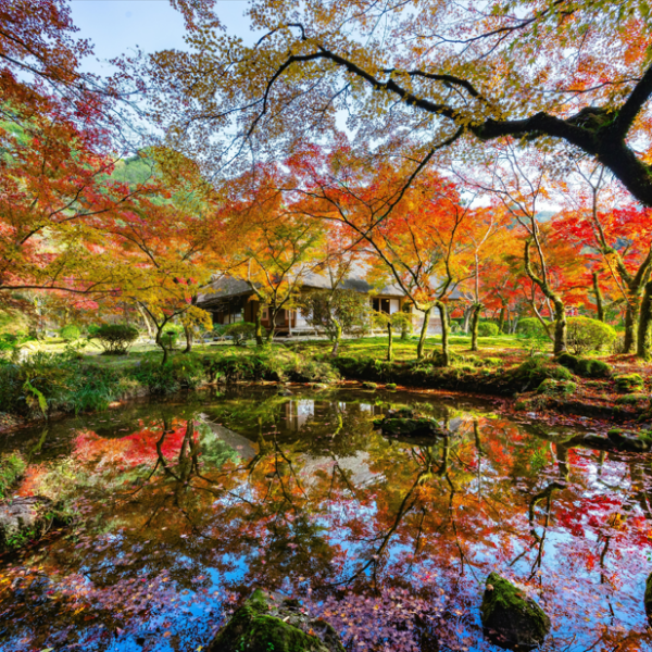 【神幸・神埼うまかもんフェア】 in パサージュ広場